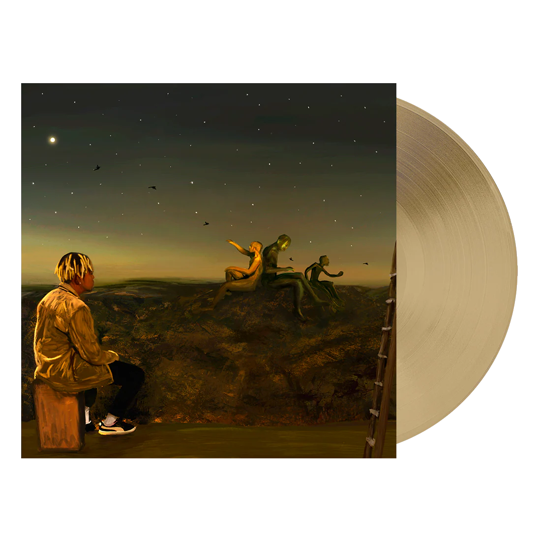 From A Birds Eye View Tan Vinyl
