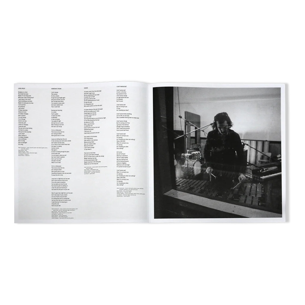 I Don’t Live Here Anymore Limited-Edition Deluxe Box Set - Image 5