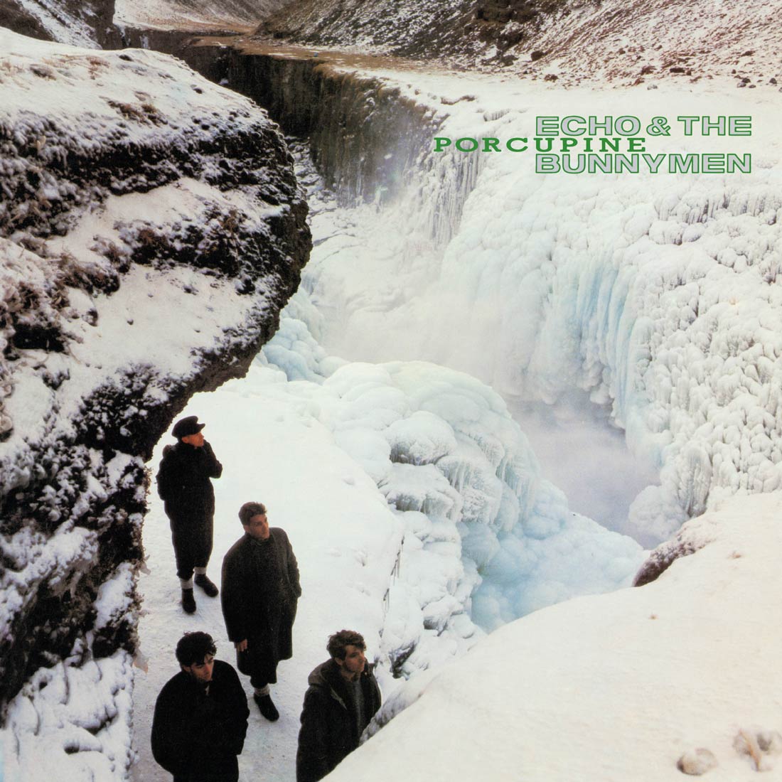 Porcupine (1LP White) - Image 3